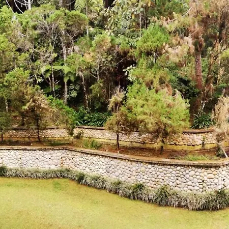 Century Pines Resort Cameron Highlands-2